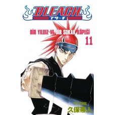 bleach #11